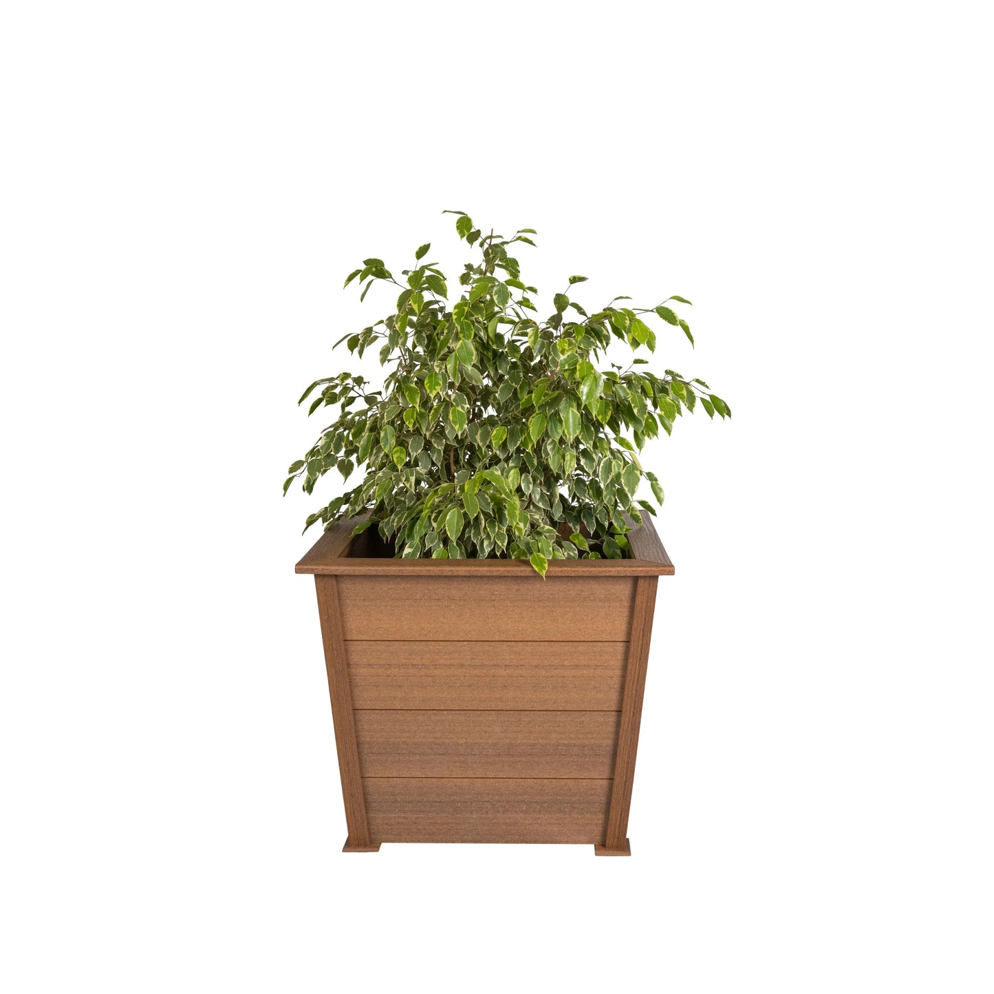 Square Planters