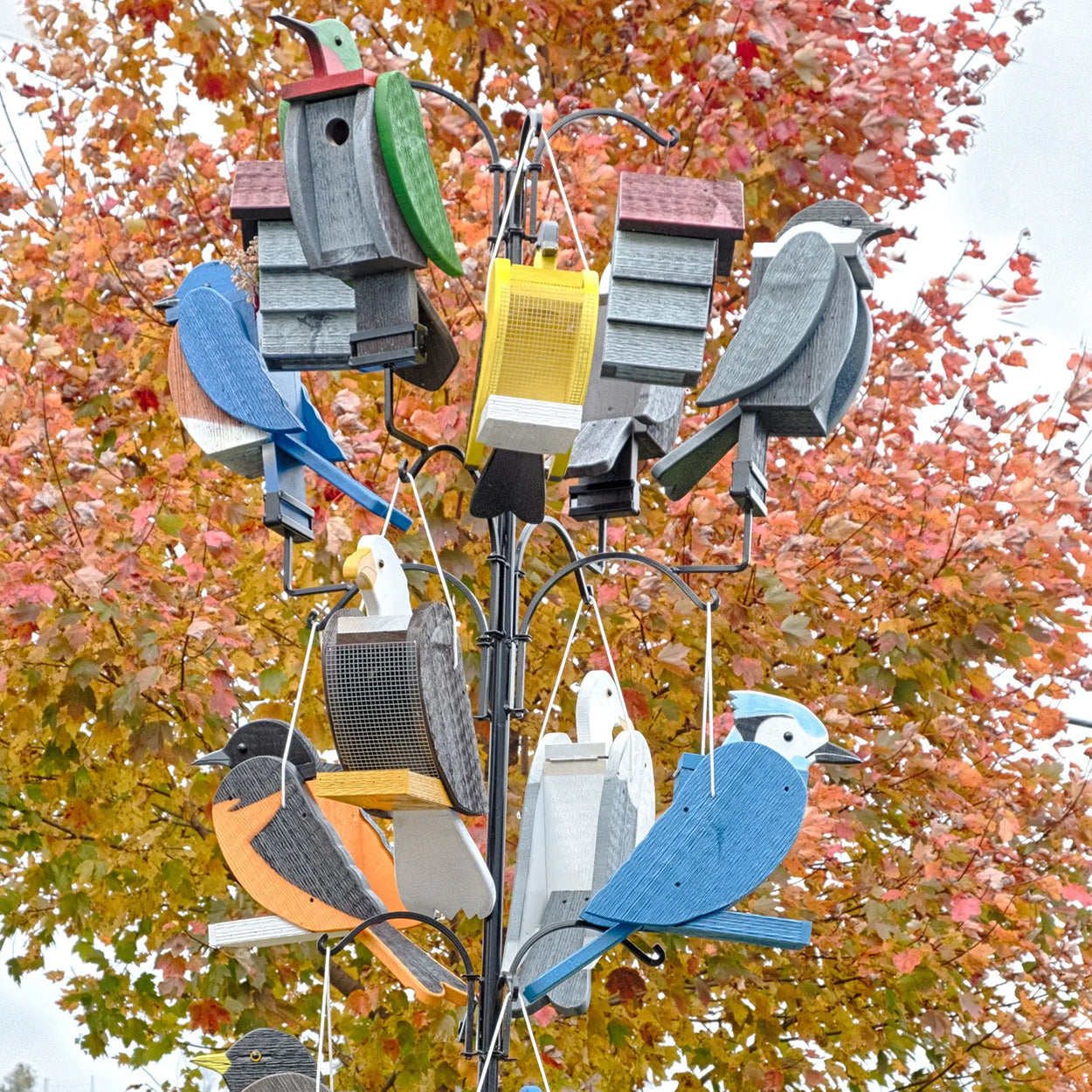 Bird Feeders & Houses