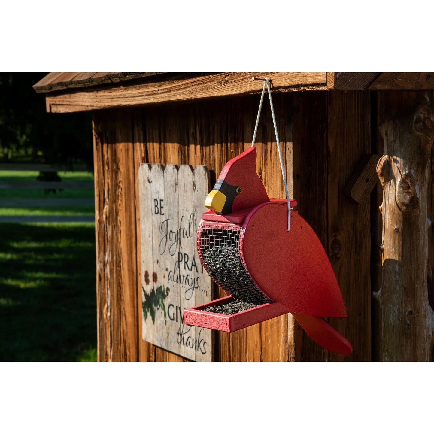 Bird-Shaped Bird Feeder